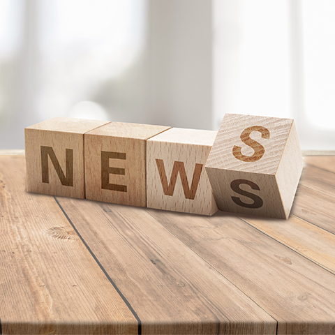 贝博体育官网注册：BICES 2025河北交通市政系统专业用户座谈会在石家庄召开